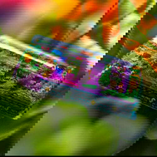 116016387 340570703992374 1925797856683767864 N