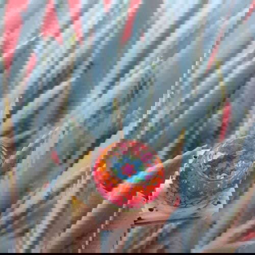 116132978 786267892182157 2150748141614911372 N