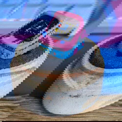 119700854 374253480413771 1753864937248359942 N