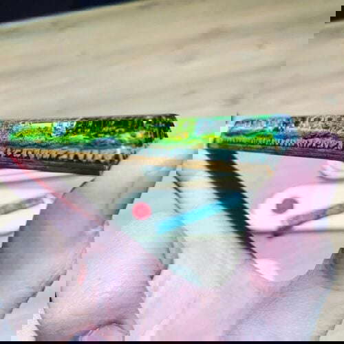 133306639 496041271377746 2259336611486731650 N