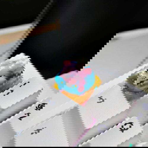 164442676 247115147126940 5401116476356837898 n