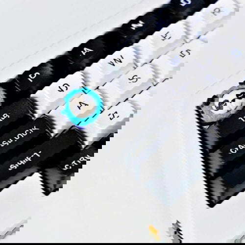 165126834 1622223644833169 7227685777024950880 n