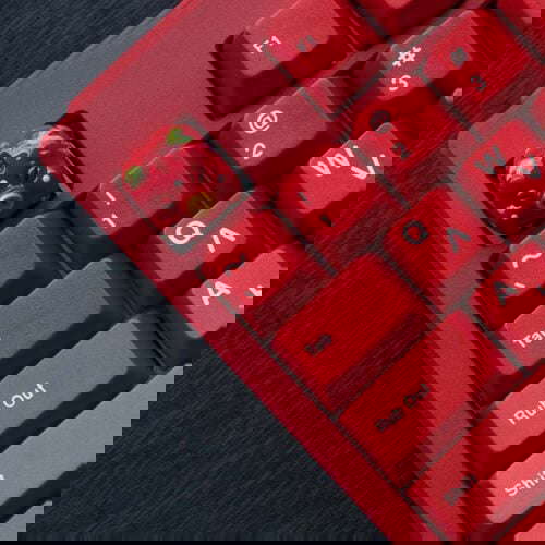173261630 3897407333686143 2312738609736279825 n