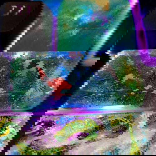 20200411 182552