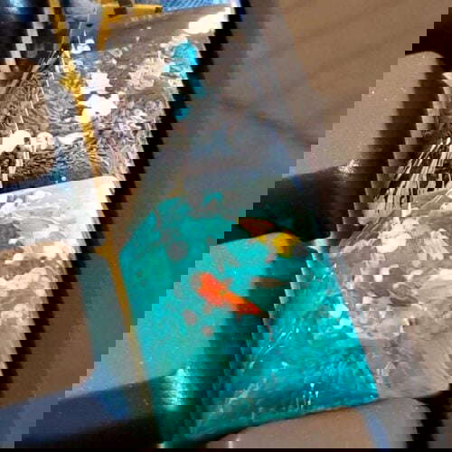 20210408 145055