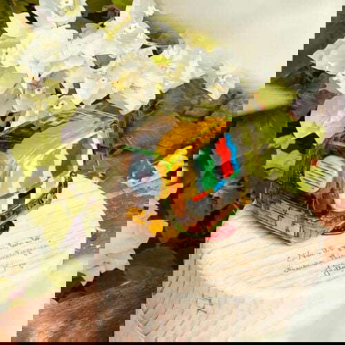 272339664 5451345534881949 7850087785440220326 n