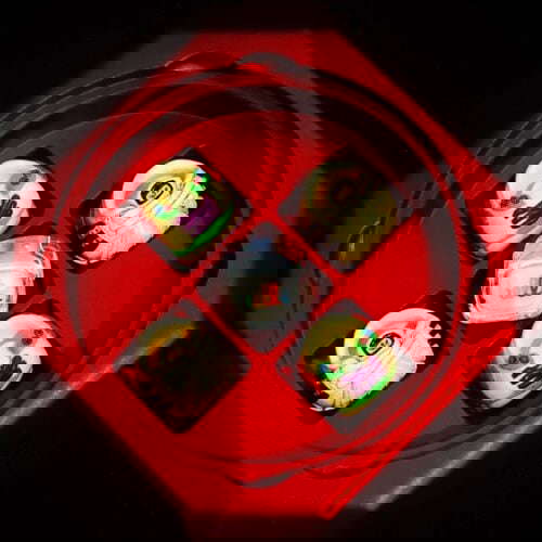 275626911 4262236053879697 3740432115338280454 n