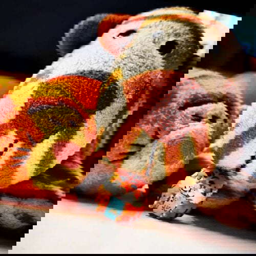 sunl9 n 276111513 502266128051575 6160060447929217338 n