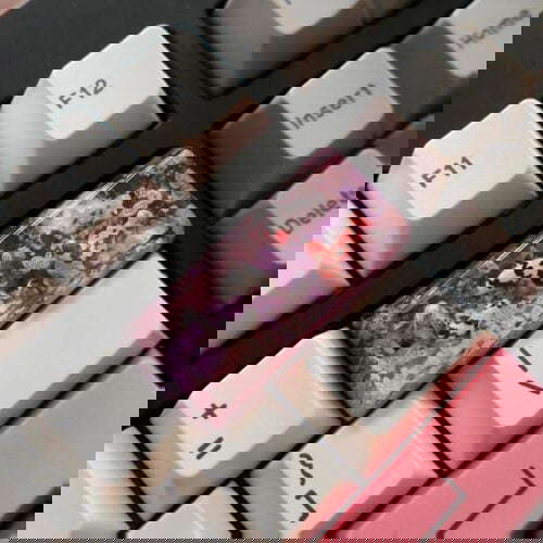 tsukislice 274054351 974780720106902 7182486109971871385 n