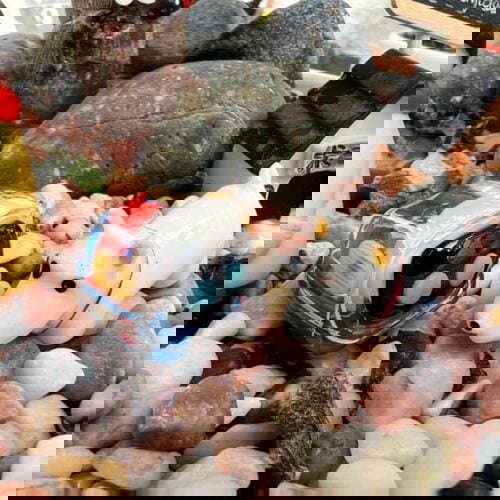 278465719 4795137407281201 1868499786250144682 n