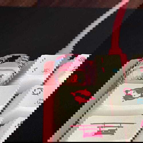 278481316 2049576425223149 8057523493949753554 n