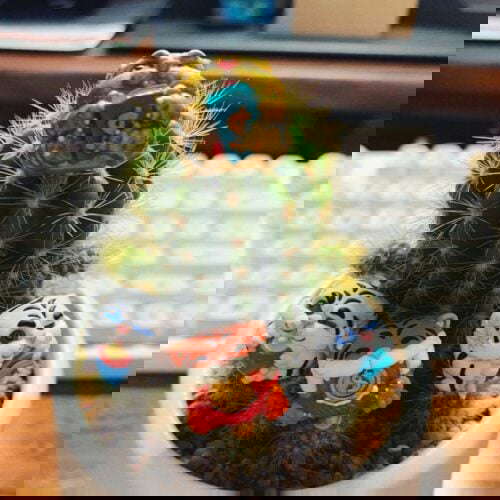 img 7680