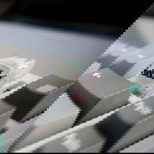 tophrii 279074087 518577759908453 6062619972898924613 n