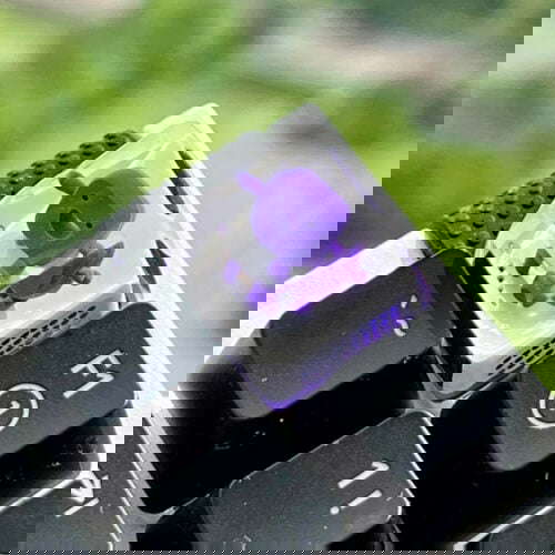298029979 10223909473459447 8964861938718900769 n copy