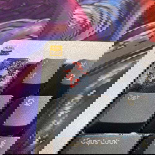 img 3580 copy