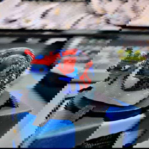 301124910 2215090601982664 7373977187511376625 n