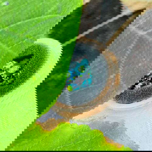 302095496 1147998482740482 1097303967903936987 n