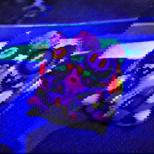 aa0fc80f 1e88 48ec 8cea fd9cf9293e97