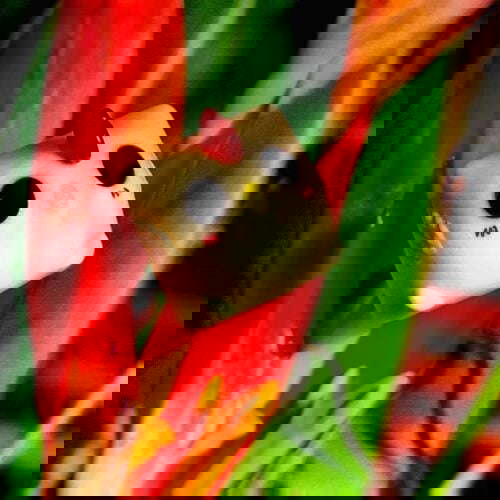 unknown 297963794 589137146152773 2033507852550911970 n