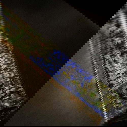 20220102154136 img 2464