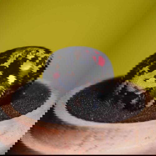 20230126202127 img 1717