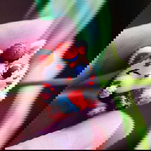333867168 572962768074761 8382599756965539862 n