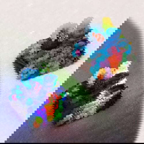 dscf6732b
