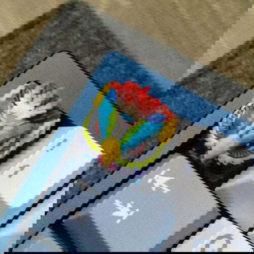 347572966 218528754256527 8692109094375573840 n