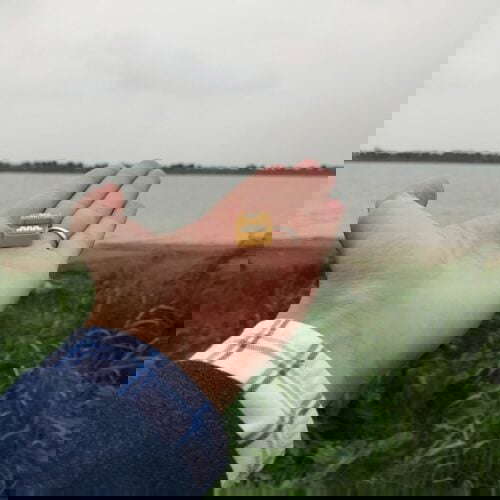 31938430 814553238750788 7792704544927907840 N