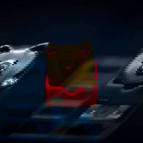 31941492 435003743625941 3371861687446536192 N