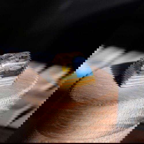 34325814 2274515209262059 3617893795166683136 N