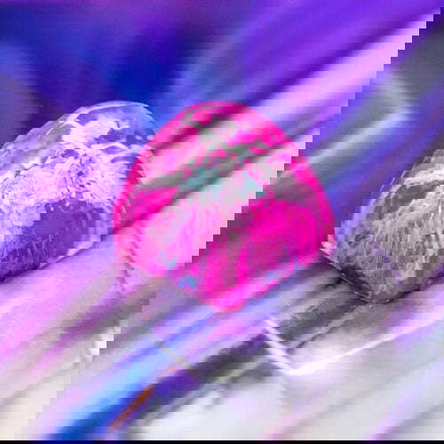 54447215 424382228336469 3718360755603969942 N