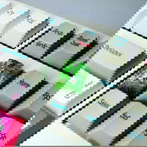 57012693 172964950361570 7728113561941650432 N