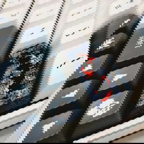57284756 2298405900479878 8090245151262643145 N