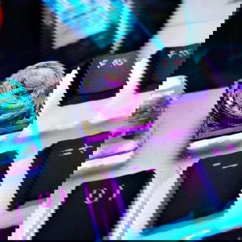 80899709 586586731917010 4201260401851382707 N