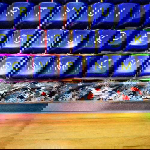 86826124 10157091476920998 5028370001589960704 O