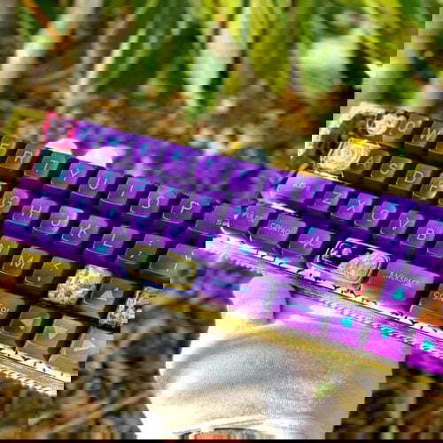 89462917 139190390932343 863470407241008639 N