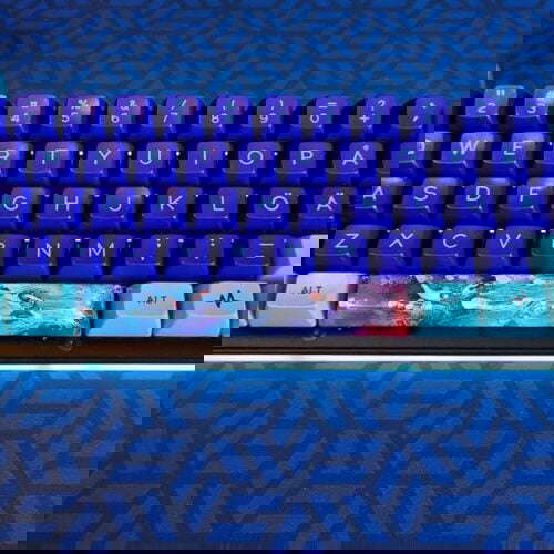 90318621 111171447007630 1359237796733524506 N