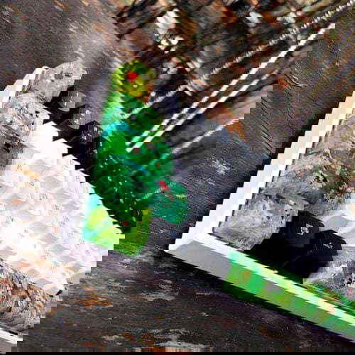 95866646 1706844819458526 4548744505360121856 N