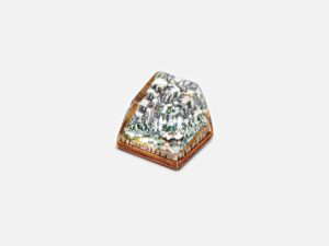 Bornofforest02