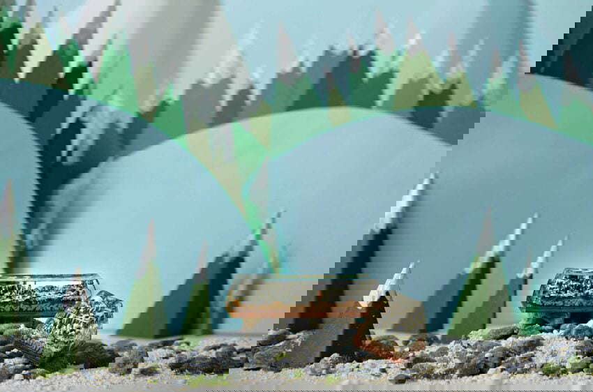 Bornofforest103
