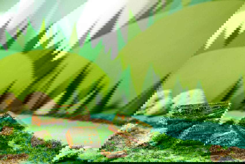 Bornofforest104