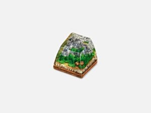 Bornofforest20