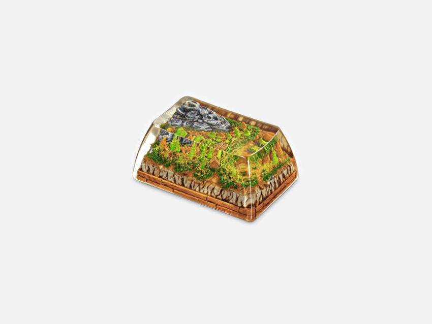 Bornofforest41