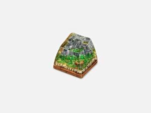 Bornofforest56
