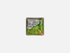 Bornofforest57