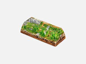 Bornofforest65