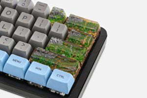 Bornofforest75