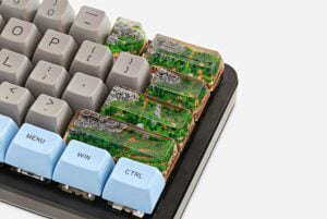 Bornofforest76