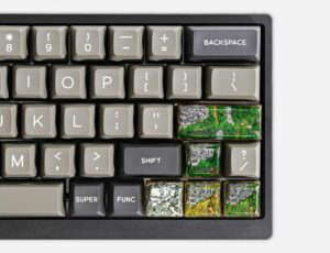 Bornofforest85
